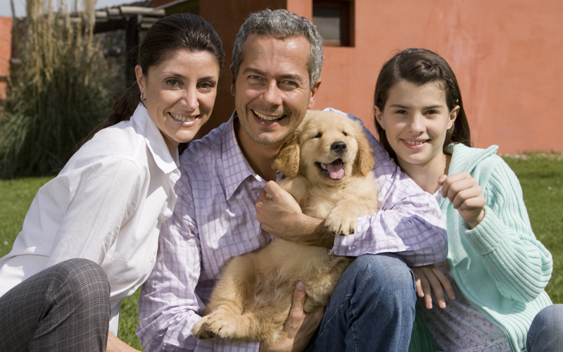 Picture of Family with puppy