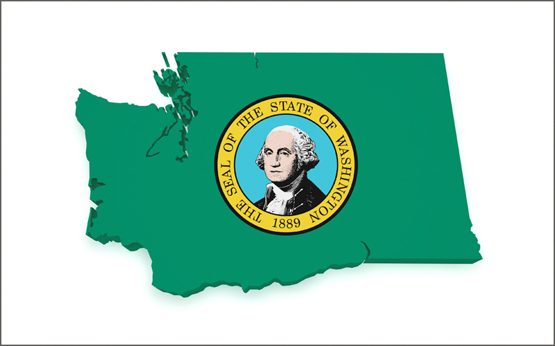 Washington State Graphic