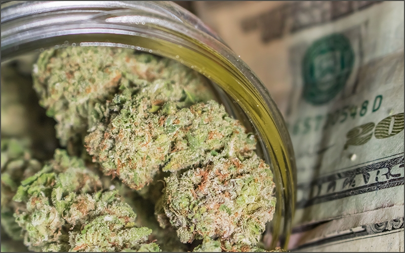 Cash and Marijuana Buds